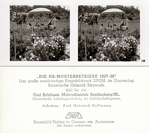 Senftenberg